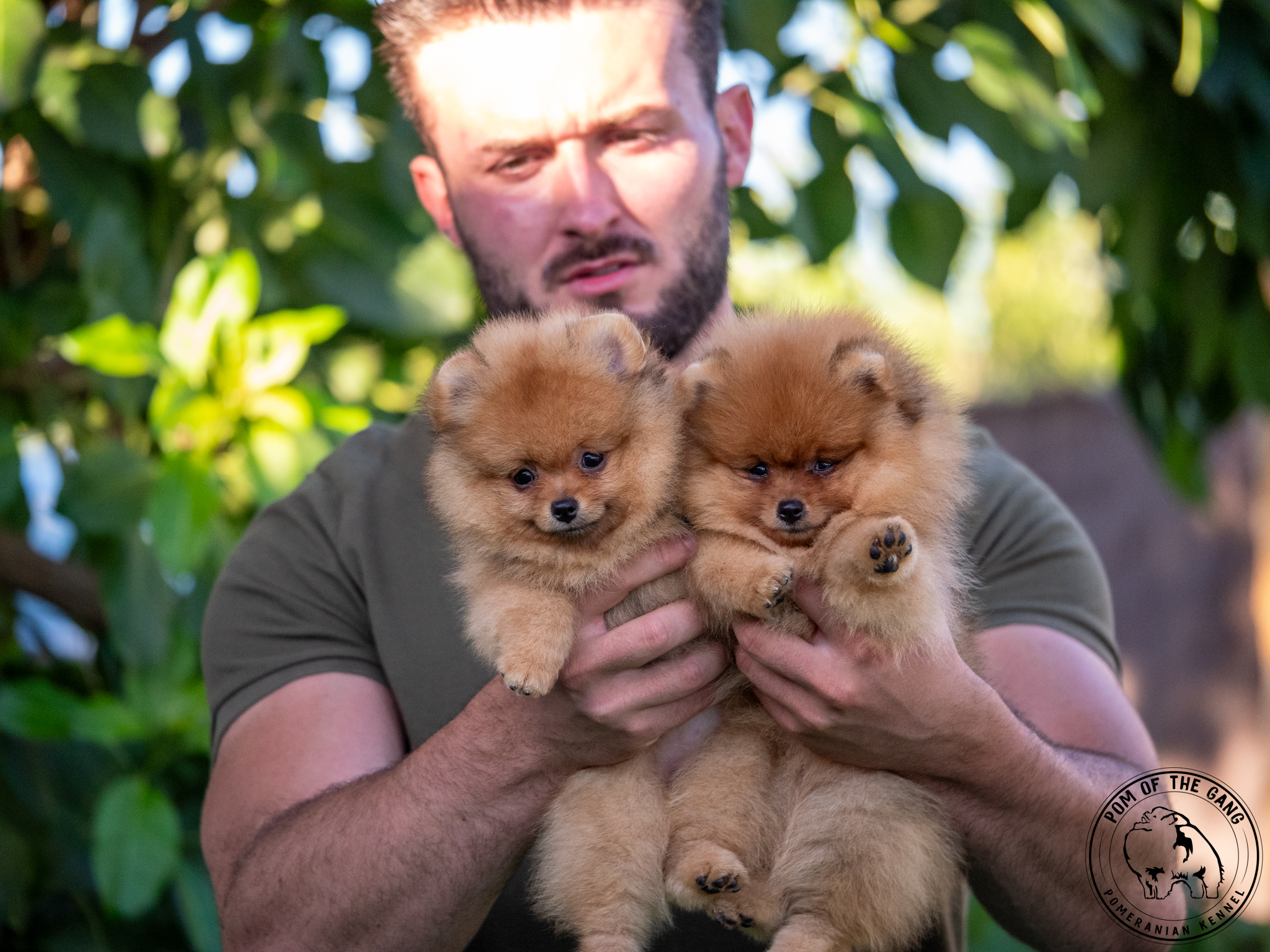 Portée de NARCOS x ZAKURA