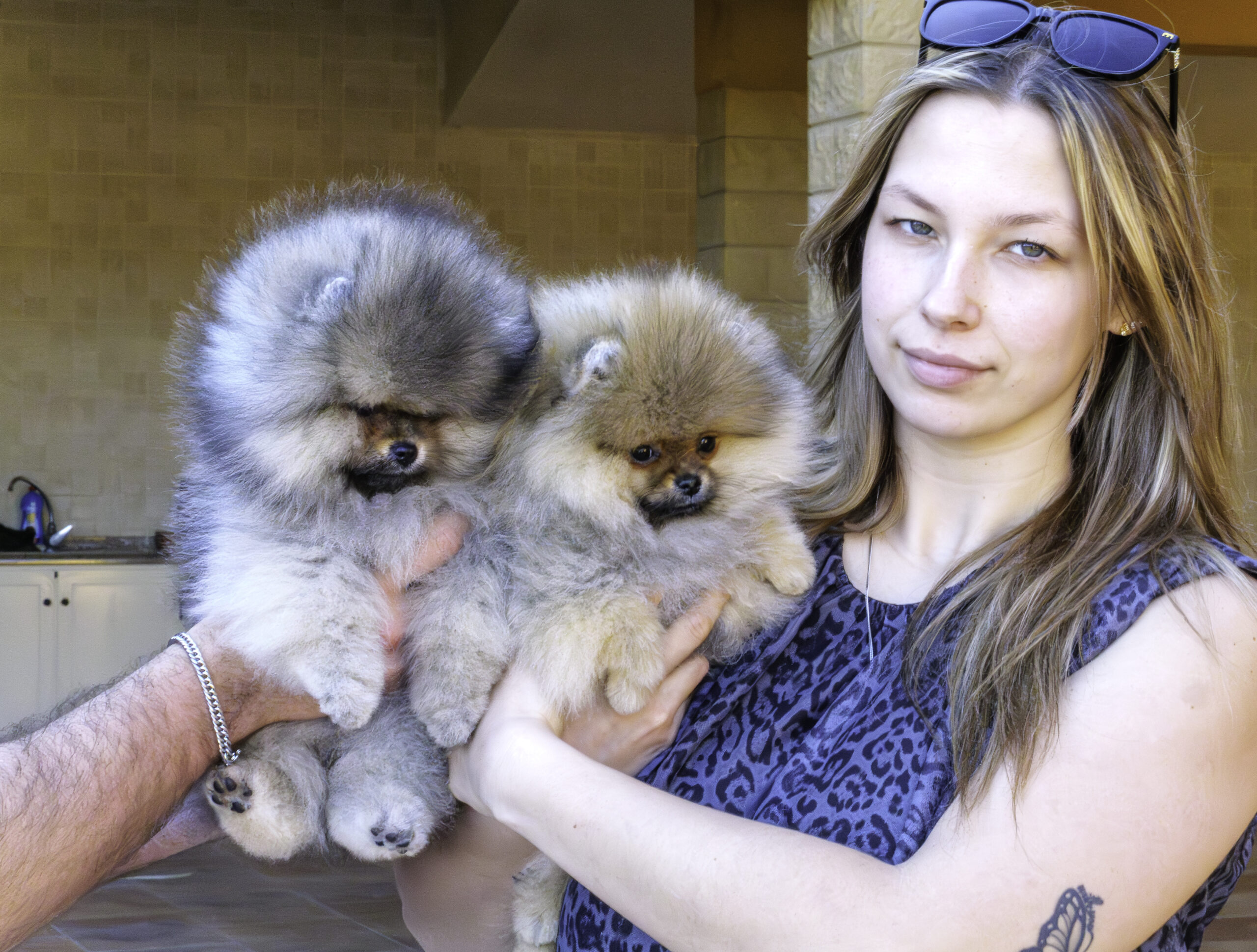 Actualité Mars 2026 : Le renouveau chez Pom Of The Gang